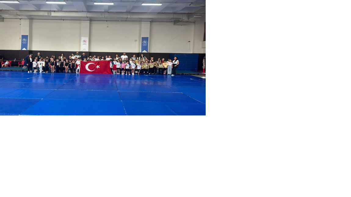 Batman Mevlana Ortaokulu Bölge finallerini aşarak Batman'i temsilen aerobik jimnsatikte Türkiye finallerine katılım sağladı.